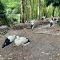 23-09-22 12-04-16 7251.jpeg